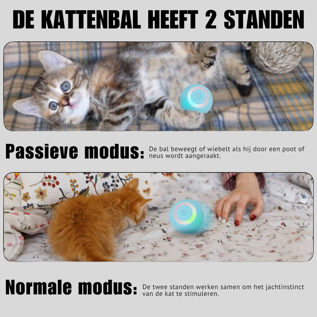 2 in 1 achtervolgend dierenspeeltje